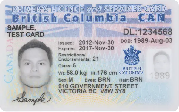 application for review of driving prohibition bc