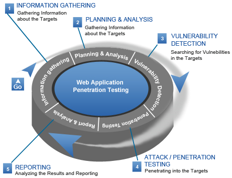 what is web application penetration testing