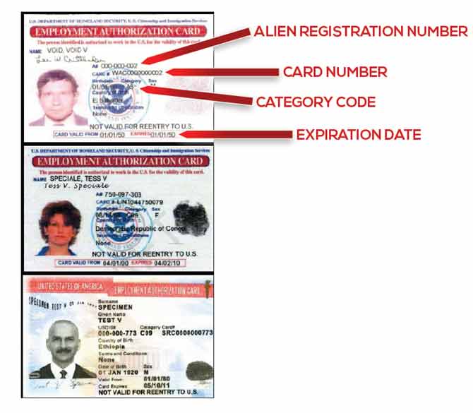 check your immigration application status online