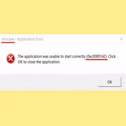 esrv exe application error 0xc0000142