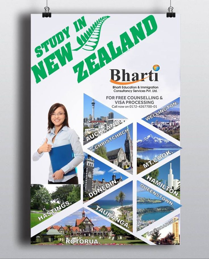 new zealand passport application online