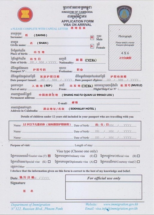 china travel visa application form