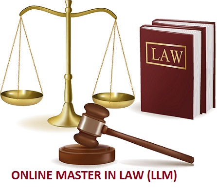 harvard law school llm application