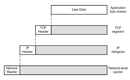 virtual terminals in application layer
